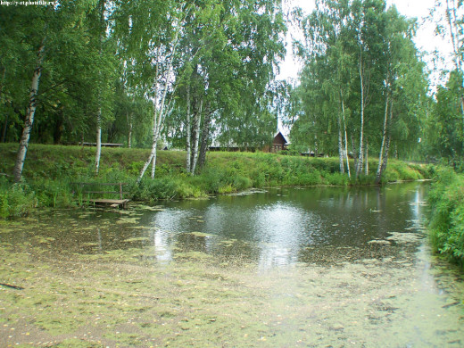 29394 (a): :1024x768